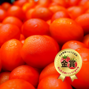 期間限定！ZEPPINトマト 1kg (高糖度MIX)