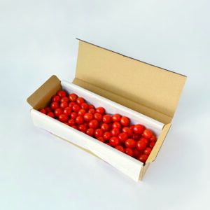 期間限定！ZEPPINトマト 1kg (規格外品)